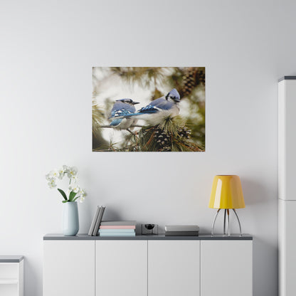 Loyal Companions: Blue Jay Couple on Canvas various sizes