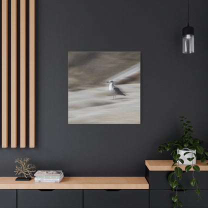 Seagull Time  Matte Canvas Art