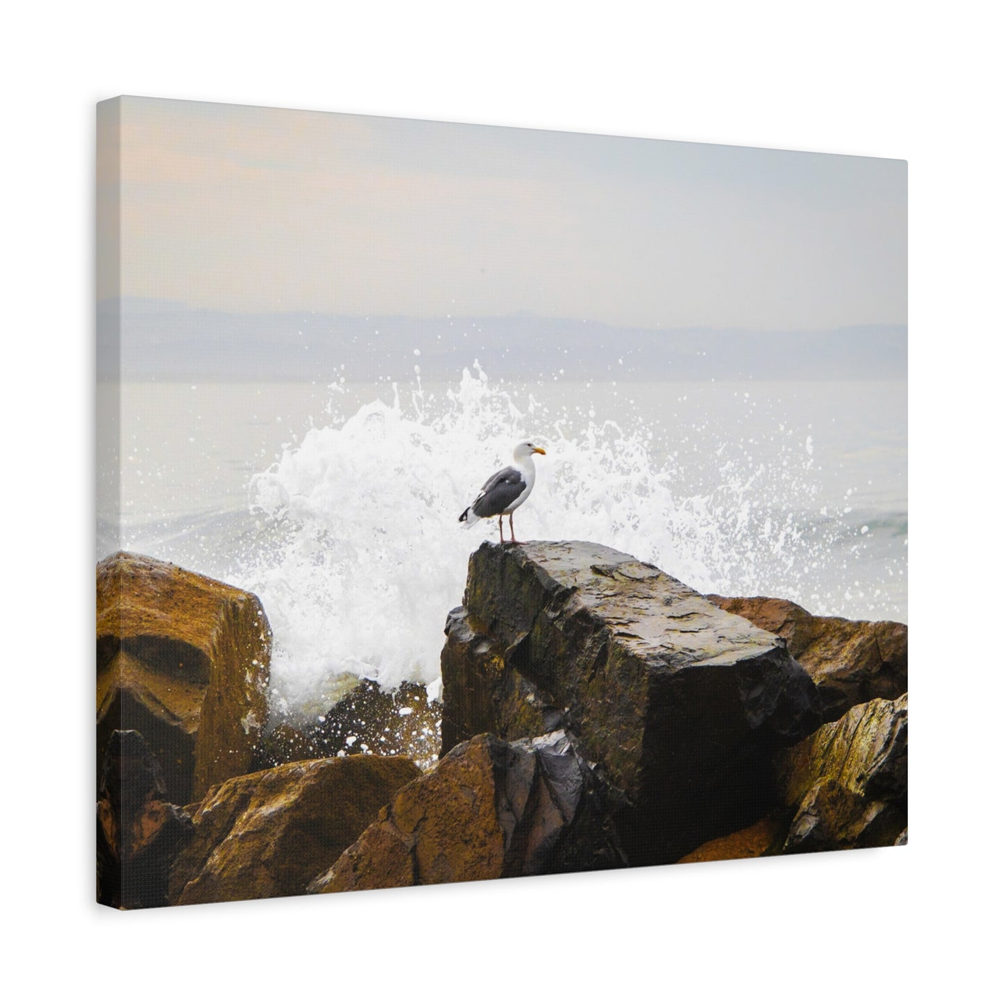 "Waves of Tranquility" Matte Canvas of a Seagull Watching the Wave Crash In