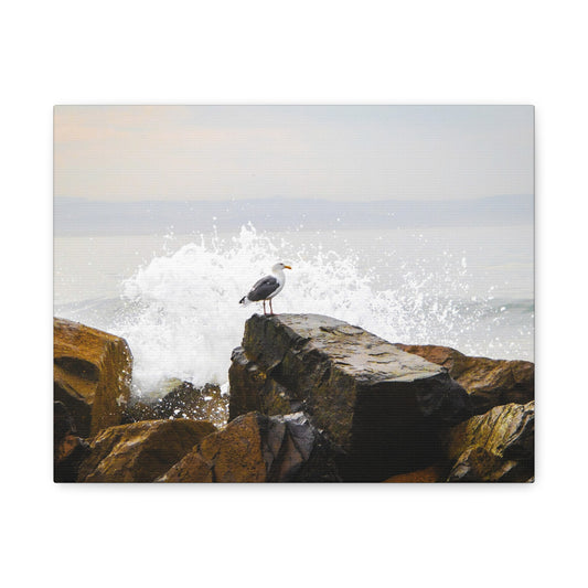 "Waves of Tranquility" Matte Canvas of a Seagull Watching the Wave Crash In