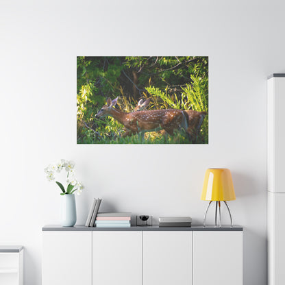 Tranquil Deer Canvas Art: Embracing Nature's Beauty