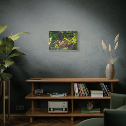 Tranquil Deer Canvas Art: Embracing Nature's Beauty