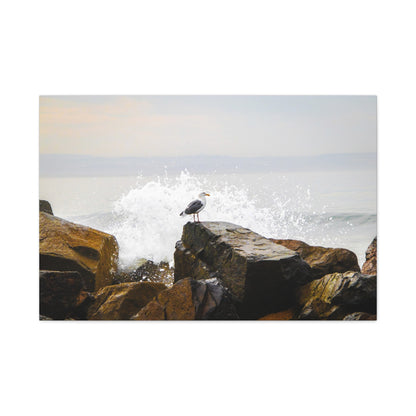 "Waves of Tranquility" Matte Canvas of a Seagull Watching the Wave Crash In