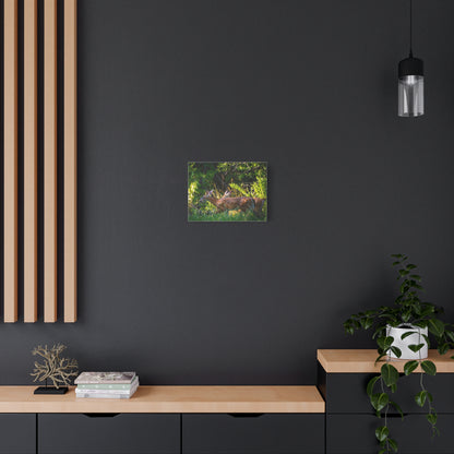 Tranquil Deer Canvas Art: Embracing Nature's Beauty