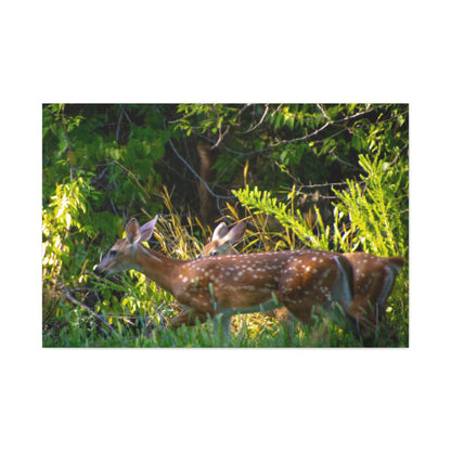 Tranquil Deer Canvas Art: Embracing Nature's Beauty