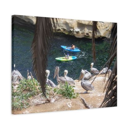 Coastal Kayak on Premium Matte Canvas