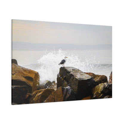 "Waves of Tranquility" Matte Canvas of a Seagull Watching the Wave Crash In