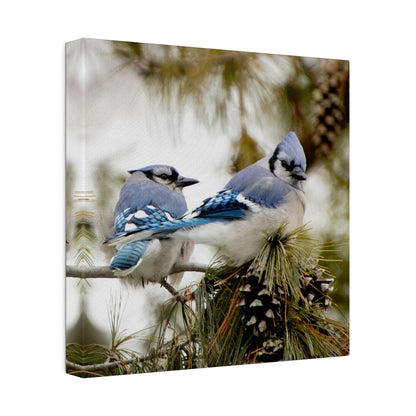 Loyal Companions: Blue Jay Couple on Canvas various sizes