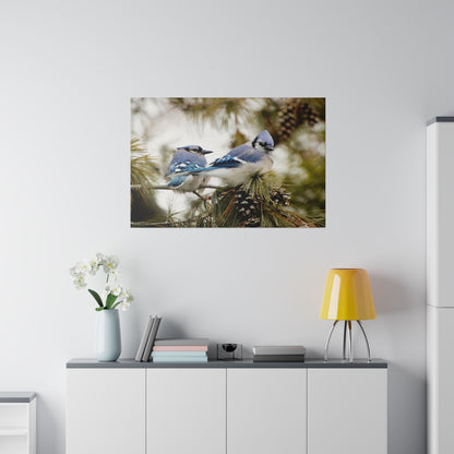 Loyal Companions: Blue Jay Couple on Canvas various sizes