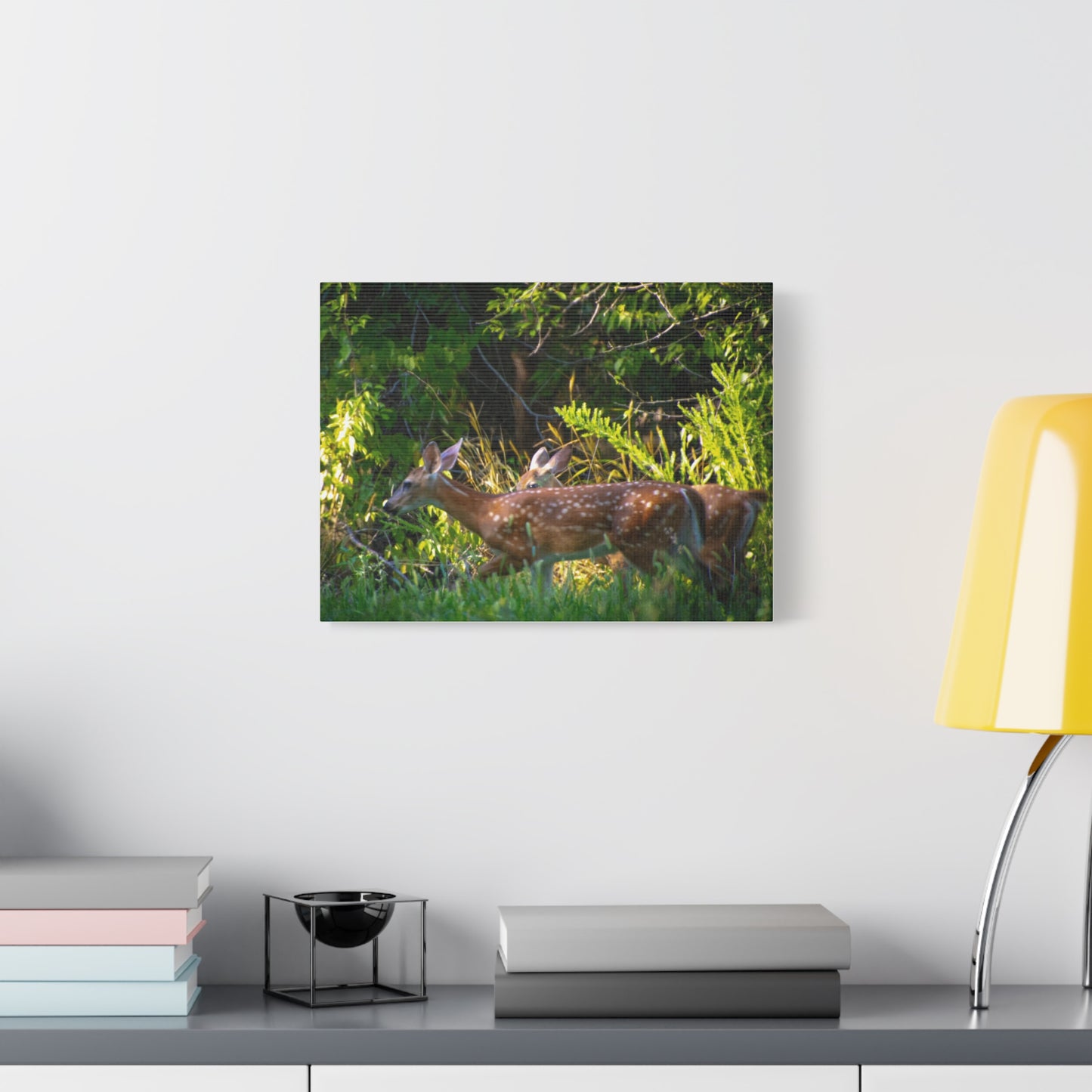 Tranquil Deer Canvas Art: Embracing Nature's Beauty