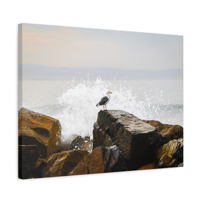 "Waves of Tranquility" Matte Canvas of a Seagull Watching the Wave Crash In