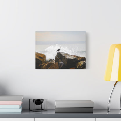 "Waves of Tranquility" Matte Canvas of a Seagull Watching the Wave Crash In