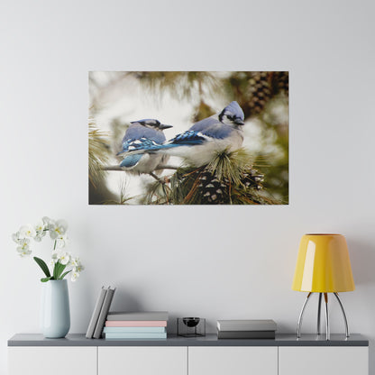 Loyal Companions: Blue Jay Couple on Canvas various sizes