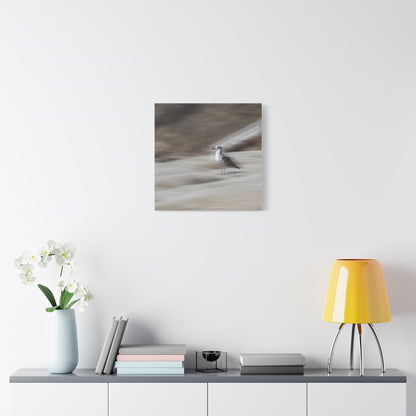 Seagull Time  Matte Canvas Art