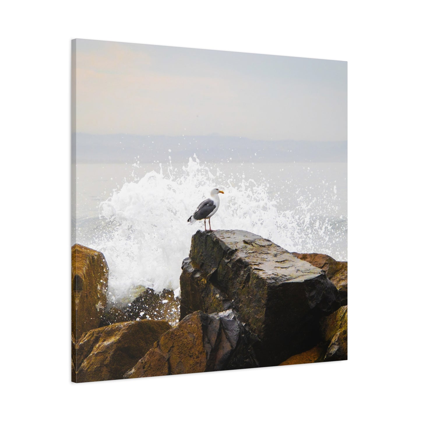 "Waves of Tranquility" Matte Canvas of a Seagull Watching the Wave Crash In