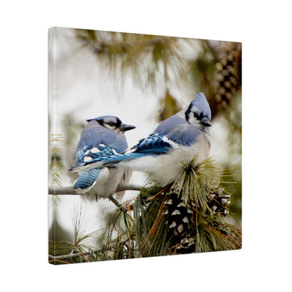 Loyal Companions: Blue Jay Couple on Canvas various sizes