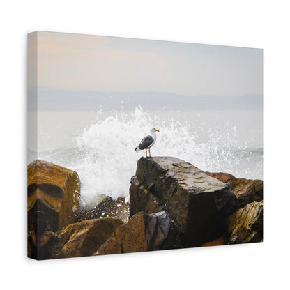 "Waves of Tranquility" Matte Canvas of a Seagull Watching the Wave Crash In