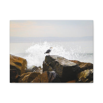 "Waves of Tranquility" Matte Canvas of a Seagull Watching the Wave Crash In