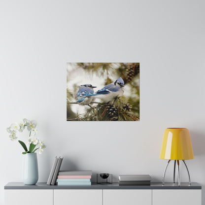 Loyal Companions: Blue Jay Couple on Canvas various sizes