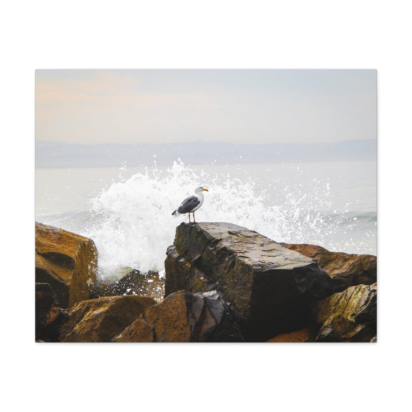 "Waves of Tranquility" Matte Canvas of a Seagull Watching the Wave Crash In