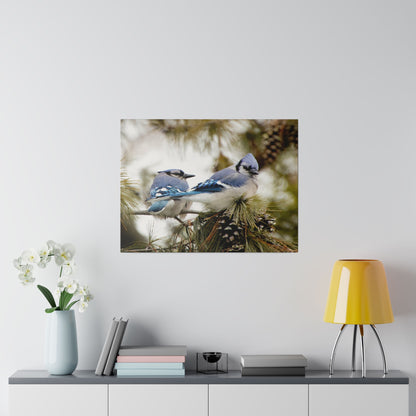 Loyal Companions: Blue Jay Couple on Canvas various sizes