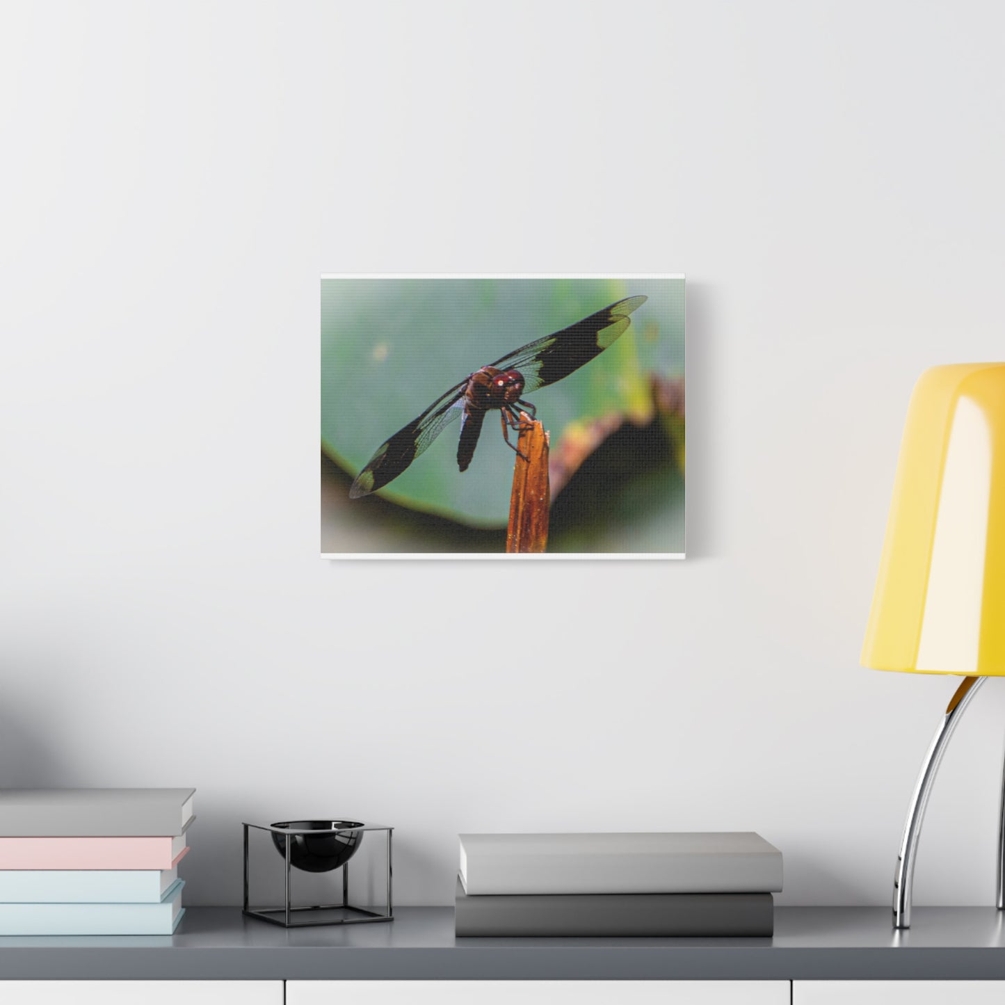 Dragonfly Canvas Art: Nature's Delicate Beauty