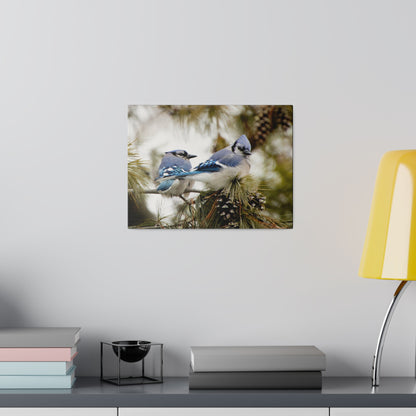 Loyal Companions: Blue Jay Couple on Canvas various sizes