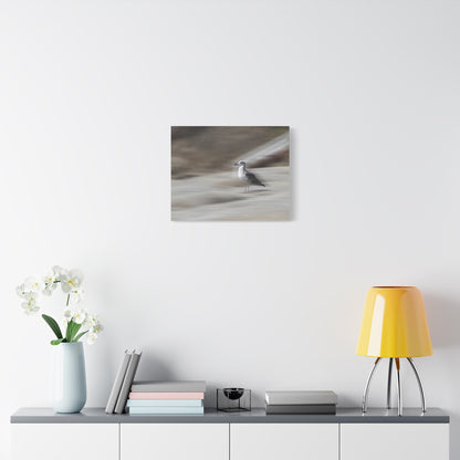 Seagull Time  Matte Canvas Art