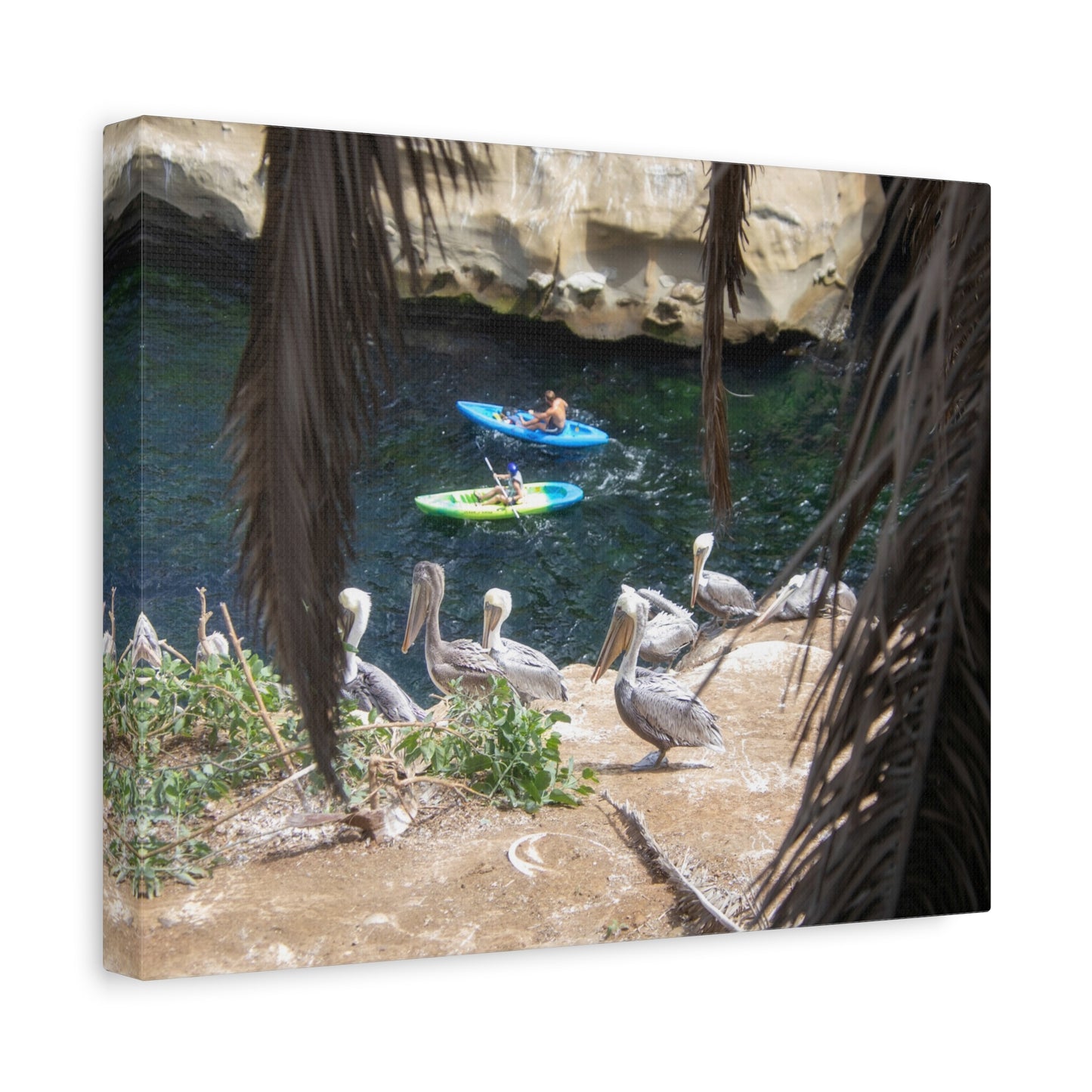 Coastal Kayak on Premium Matte Canvas