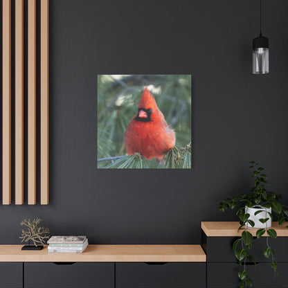 Crimson Perch on  Premium Matte Canvas