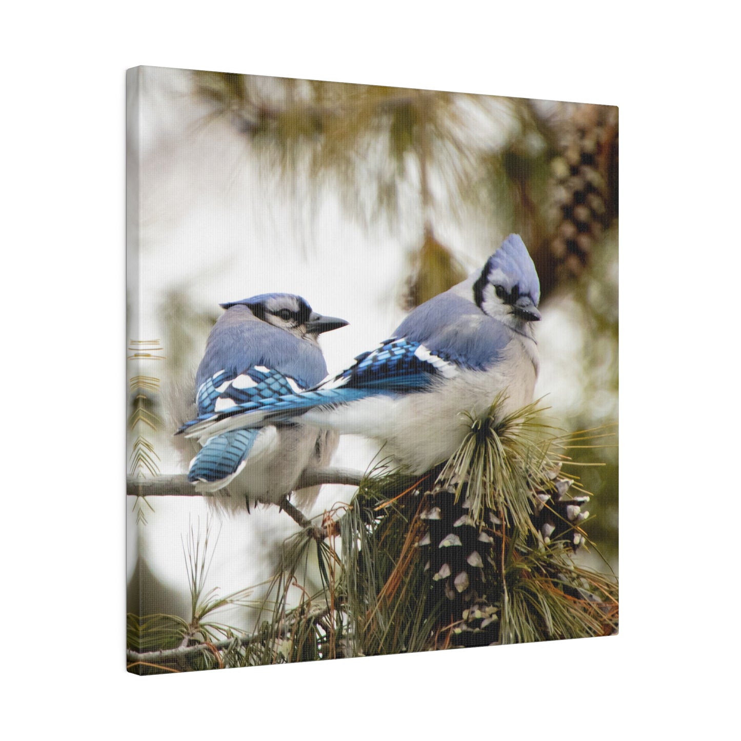 Loyal Companions: Blue Jay Couple on Canvas various sizes