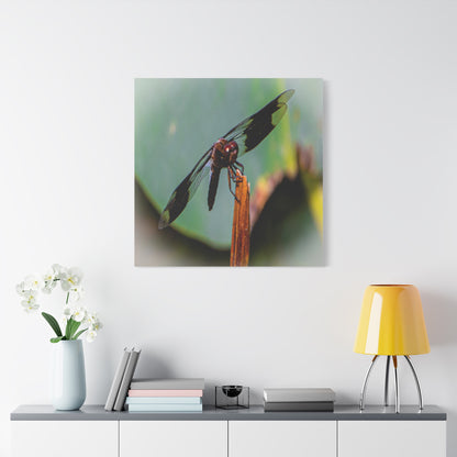 Dragonfly Canvas Art: Nature's Delicate Beauty