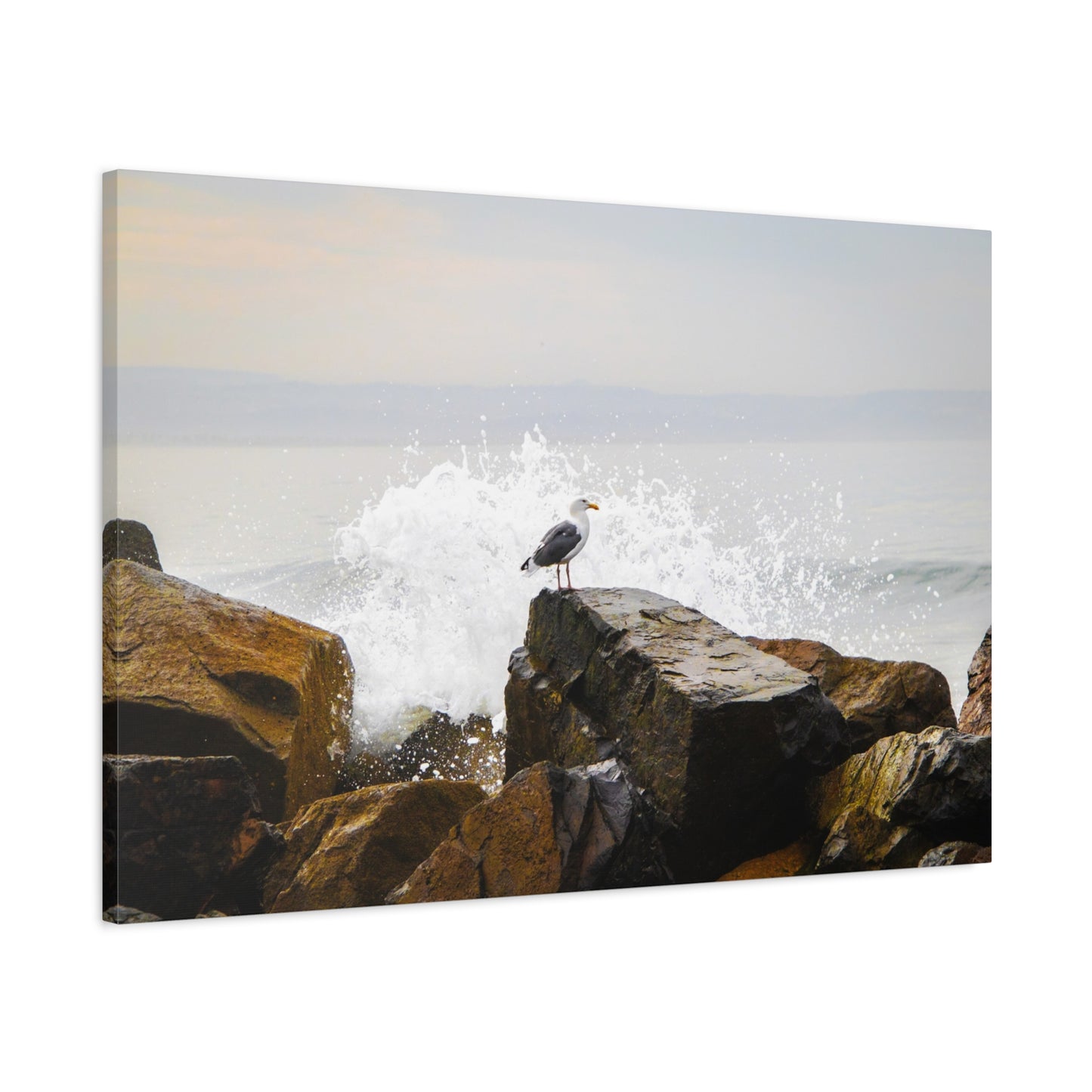 "Waves of Tranquility" Matte Canvas of a Seagull Watching the Wave Crash In