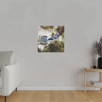 Loyal Companions: Blue Jay Couple on Canvas various sizes