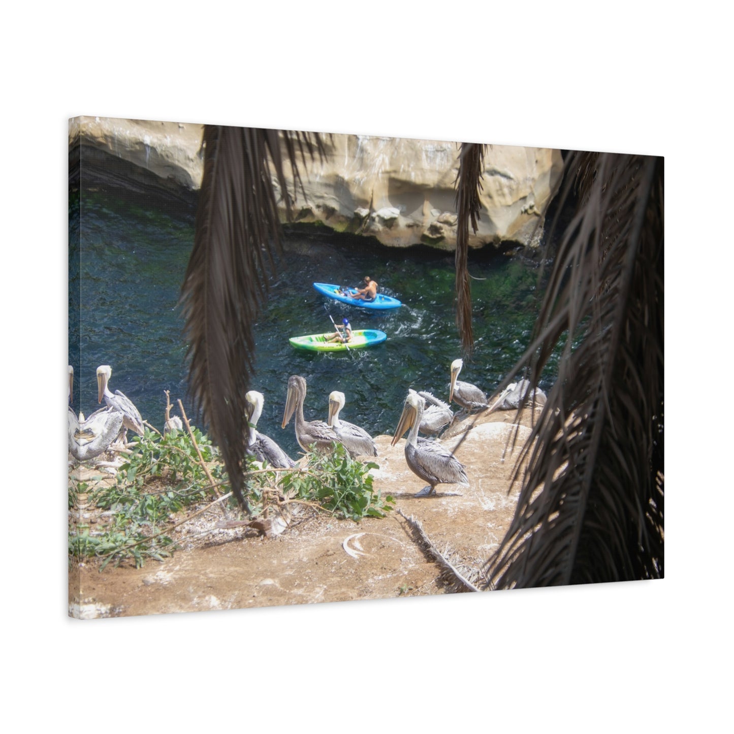 Coastal Kayak on Premium Matte Canvas