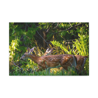 Tranquil Deer Canvas Art: Embracing Nature's Beauty