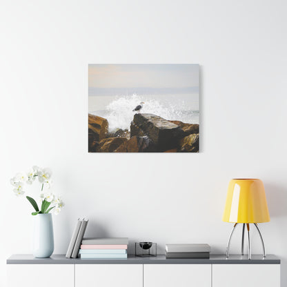 "Waves of Tranquility" Matte Canvas of a Seagull Watching the Wave Crash In