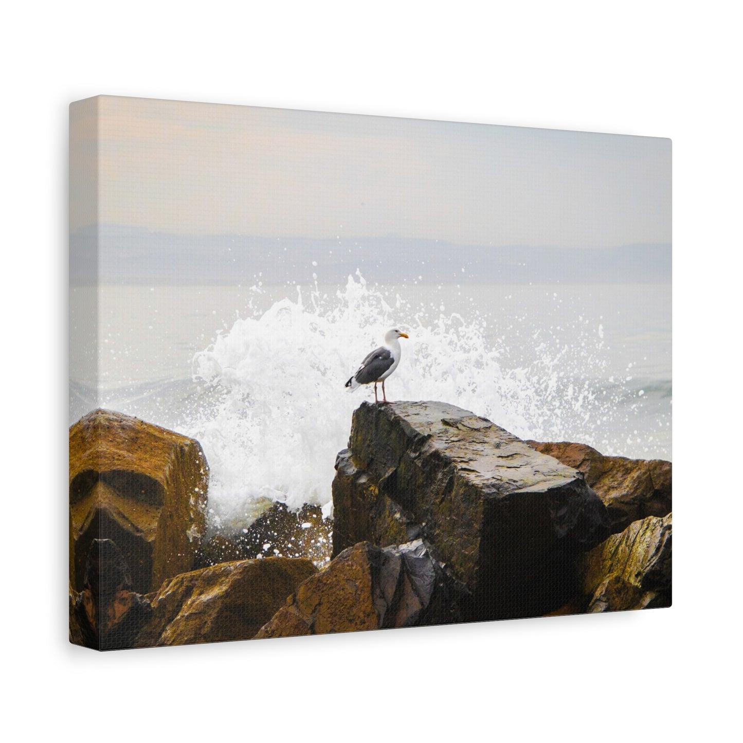 "Waves of Tranquility" Matte Canvas of a Seagull Watching the Wave Crash In