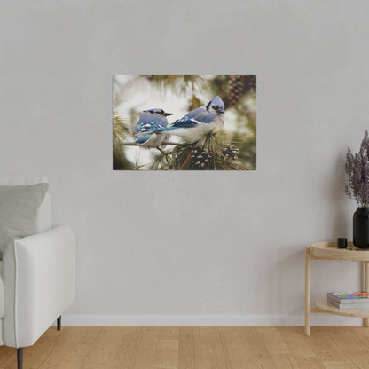 Loyal Companions: Blue Jay Couple on Canvas various sizes